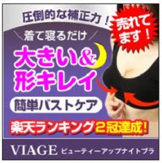 VIAGE[ビィアージュ]ビューティアップナイトブラ