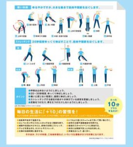 柔軟体操とストレッチング