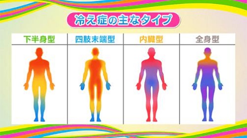 冷え症タイプ東洋医学