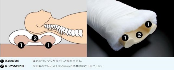 販生活 「メディカル枕」構造