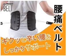 「ガードナーベルト」